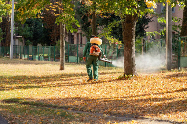 Best Best Pest Control Companies  in Ripon, CA