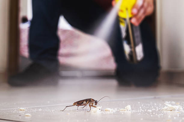 Best Best Pest Control Companies  in Ripon, CA