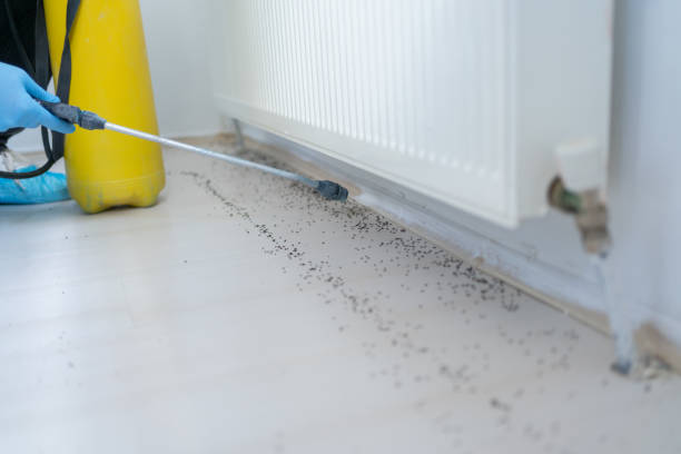 Best Best Pest Control Companies  in Ripon, CA
