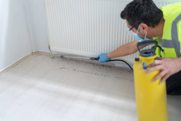 Professional Pest Control in Ripon, CA